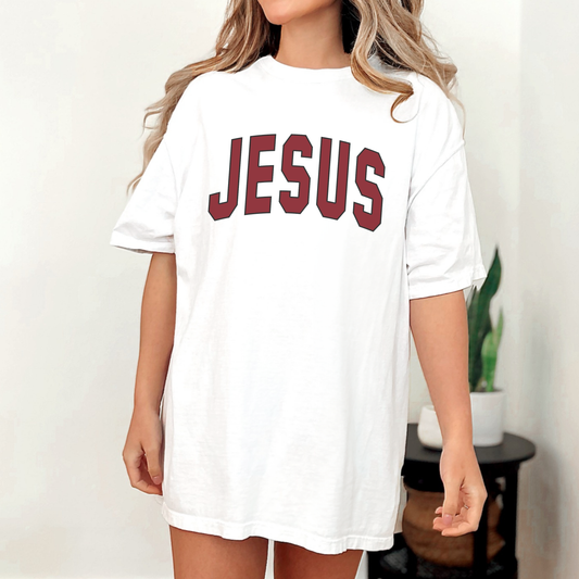 Jesus In Carolina Gamecock Colors on a white comfort colors t-shirt 